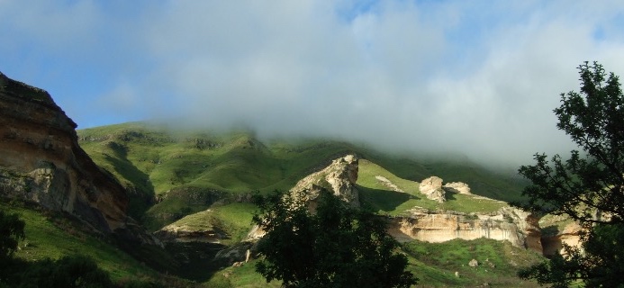 NONrelevante Zertifikate - Umweltverschmutzung outsourcen
